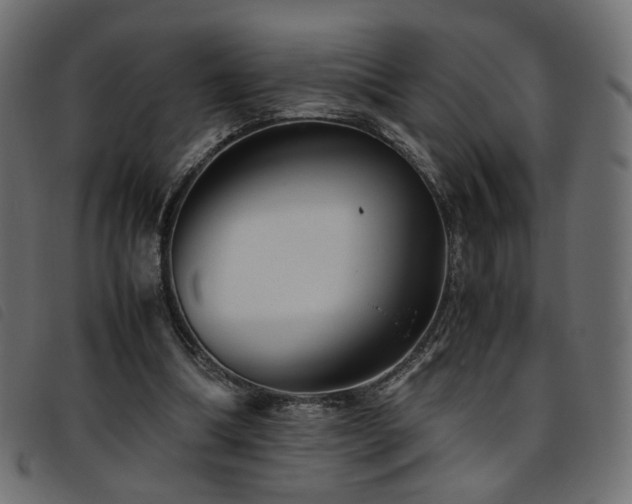 X0000093770298200710161247