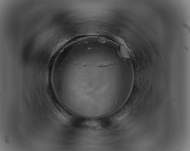 X0000093770299200710161247