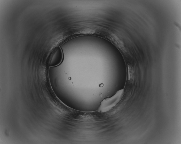 X0000093770300200710161247