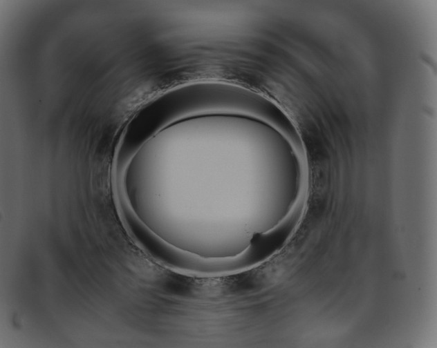 X0000093770301200710161247