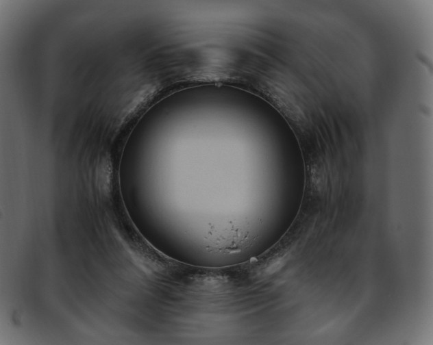 X0000093770304200710161247