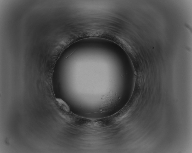 X0000093770307200710161247