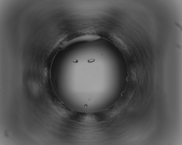 X0000093770308200710161247