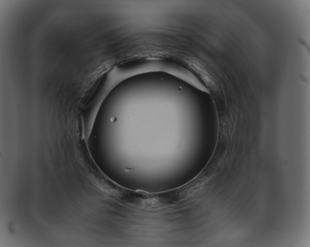 X0000093770309200710161247