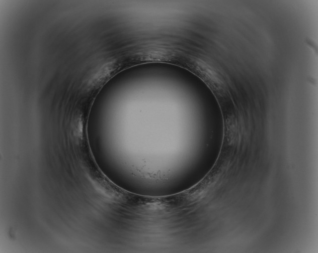 X0000093770310200710161247