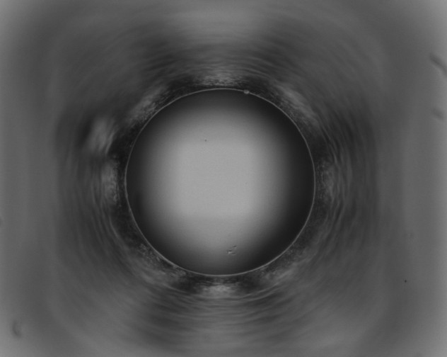 X0000093770312200710161247