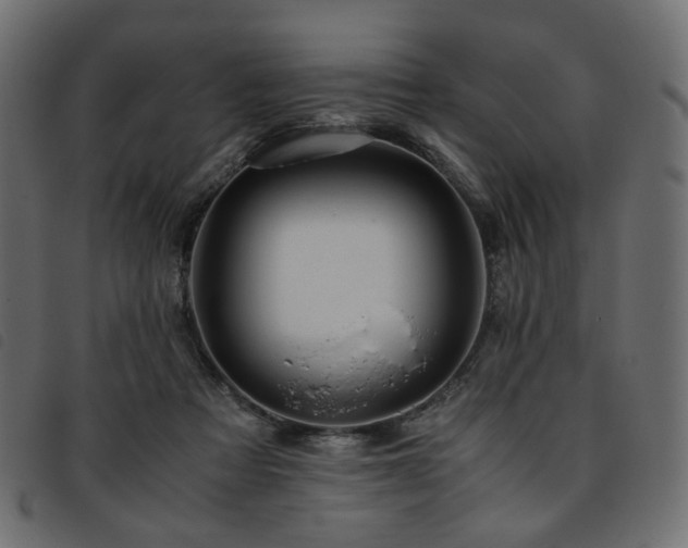 X0000093770313200710161247