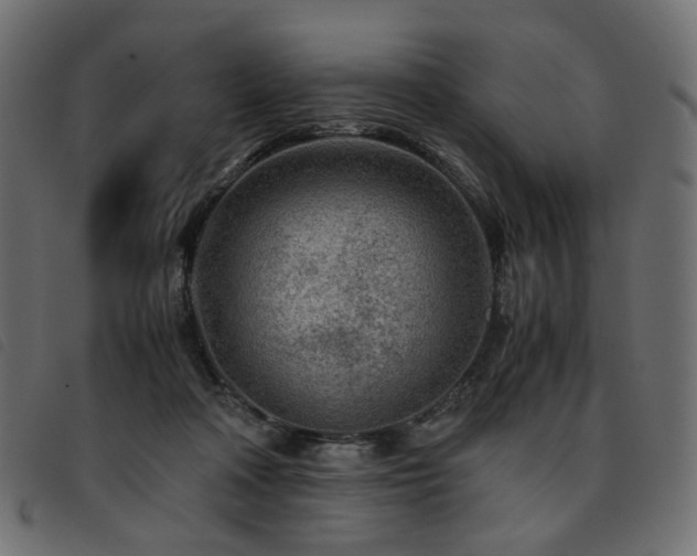 X0000093770314200710161247
