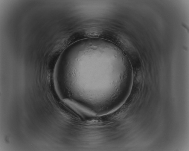 X0000093770315200710161247