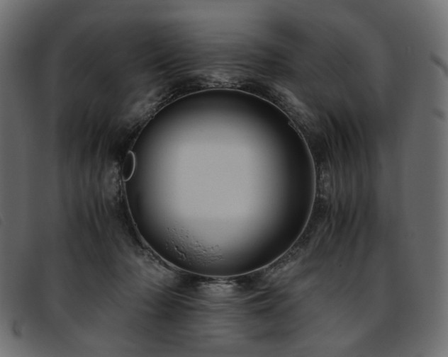 X0000093770318200710161247