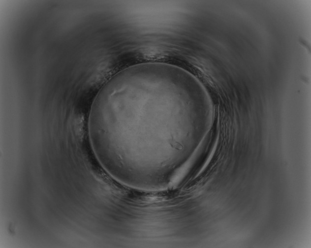 X0000093770319200710161247
