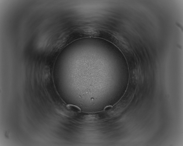 X0000093770320200710161247
