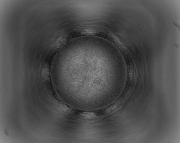 X0000093770322200710161247