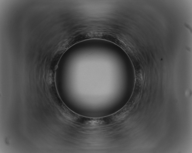 X0000093770323200710161247