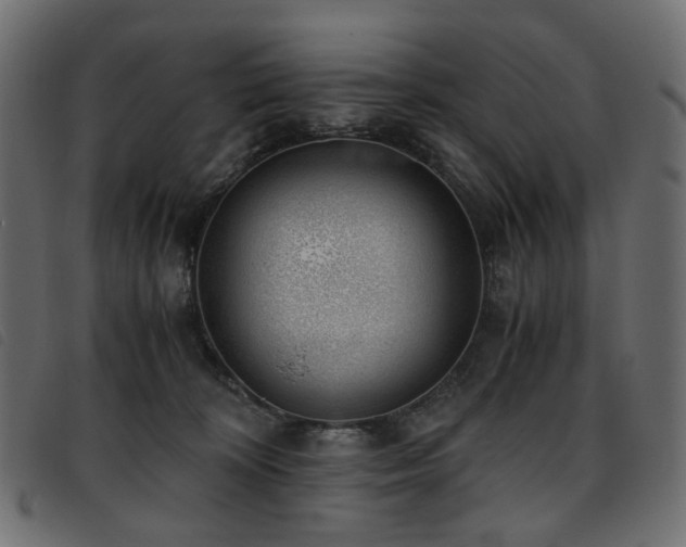 X0000093770324200710161247