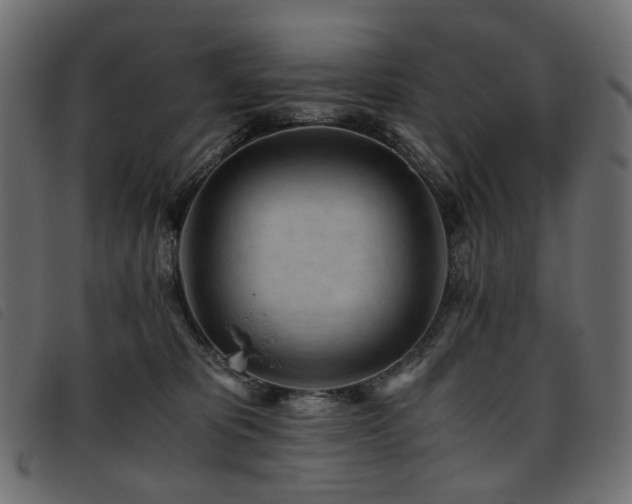 X0000093770325200710161247