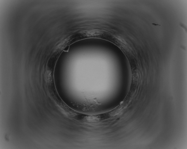 X0000093770327200710161247