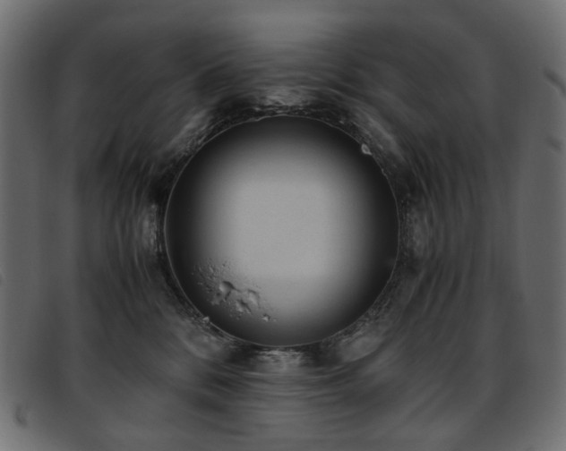 X0000093770328200710161247