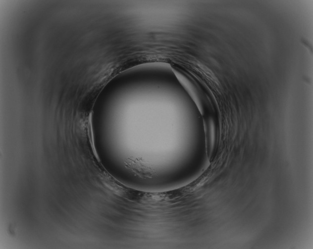 X0000093770329200710161247