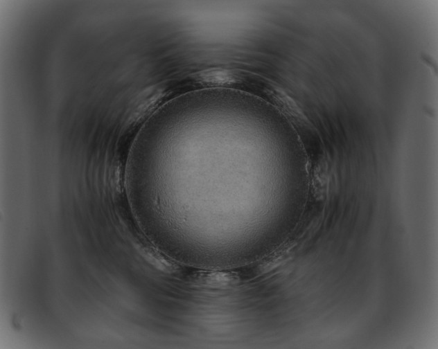 X0000093770330200710161247