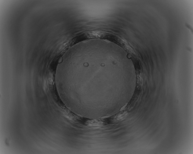 X0000093770331200710161247