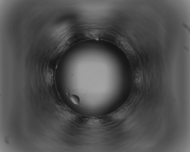 X0000093770332200710161247