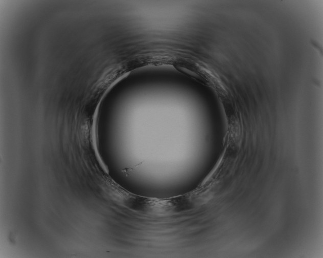 X0000093770333200710161247