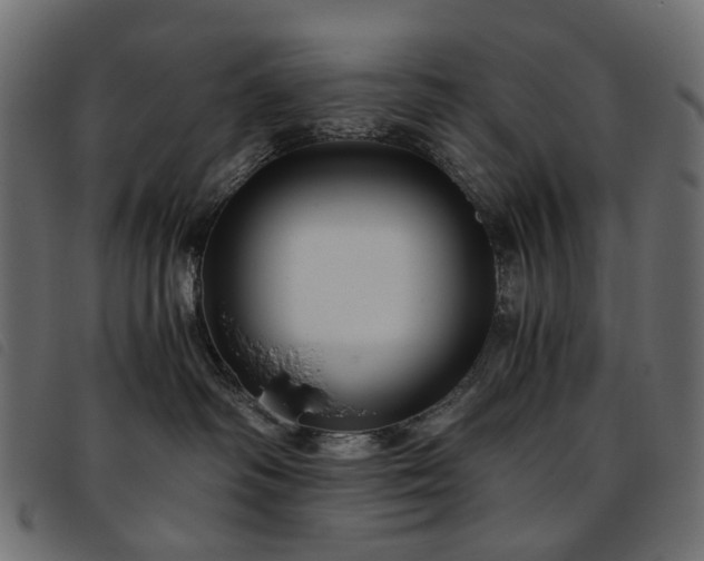 X0000093770334200710161247