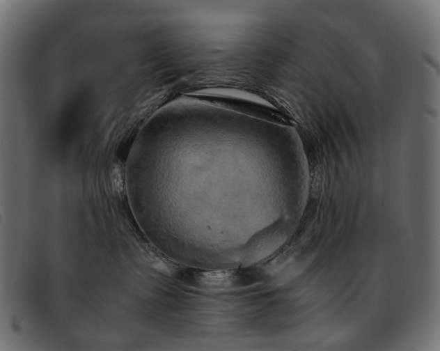 X0000093770335200710161247