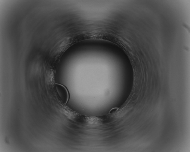 X0000093770336200710161247
