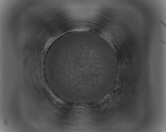 X0000093770337200710161246