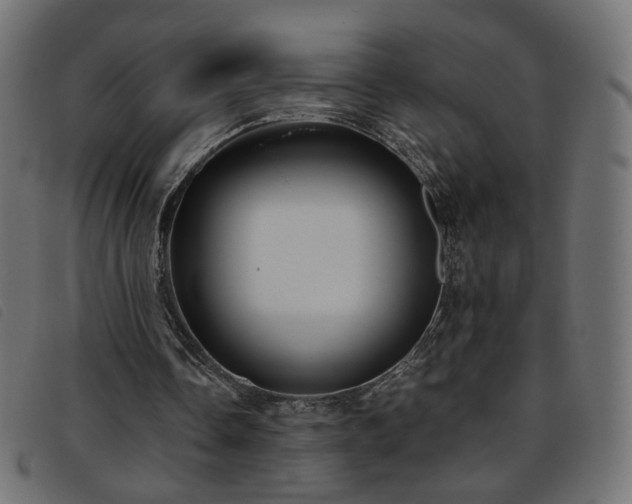X0000093770338200710161246