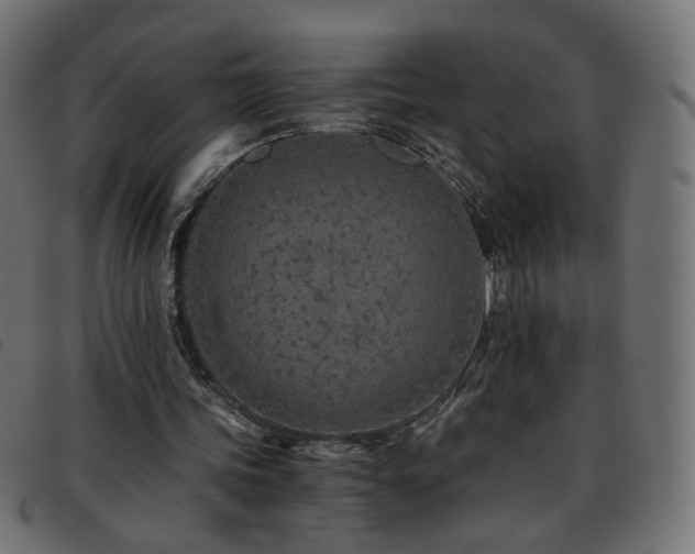 X0000093770339200710161246