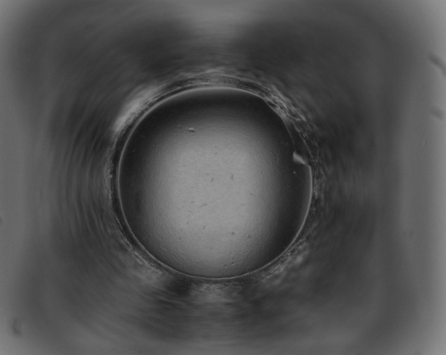X0000093770341200710161246