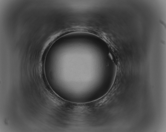 X0000093770342200710161246