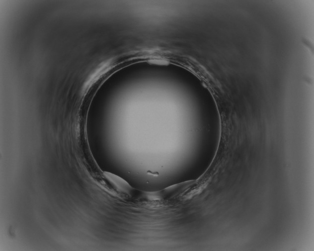 X0000093770344200710161246