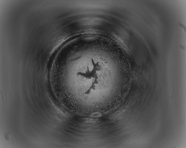 X0000093770347200710161246