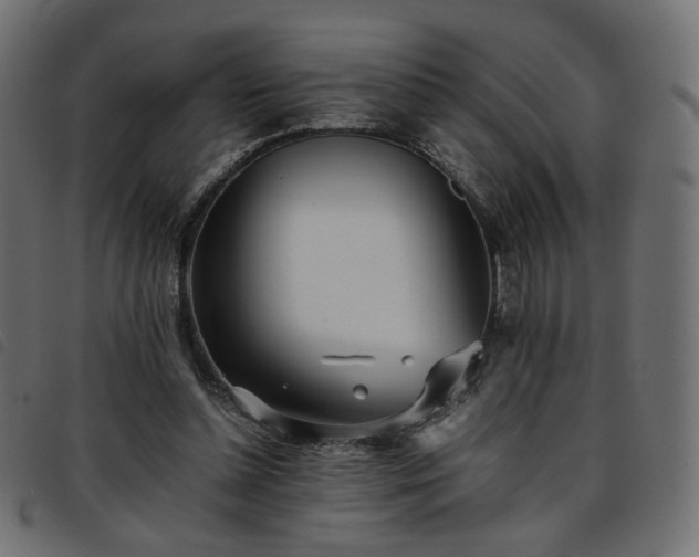 X0000093770348200710161246