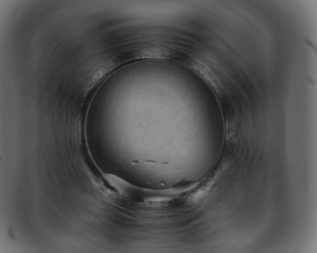 X0000093770349200710161246