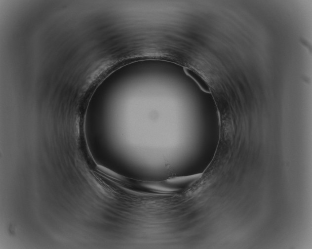 X0000093770350200710161246