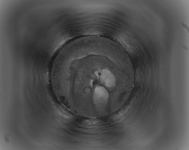 X0000093770351200710161246