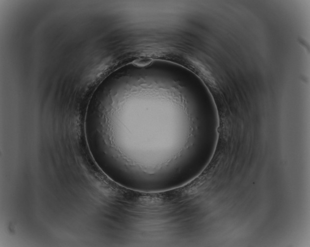 X0000093770354200710161246