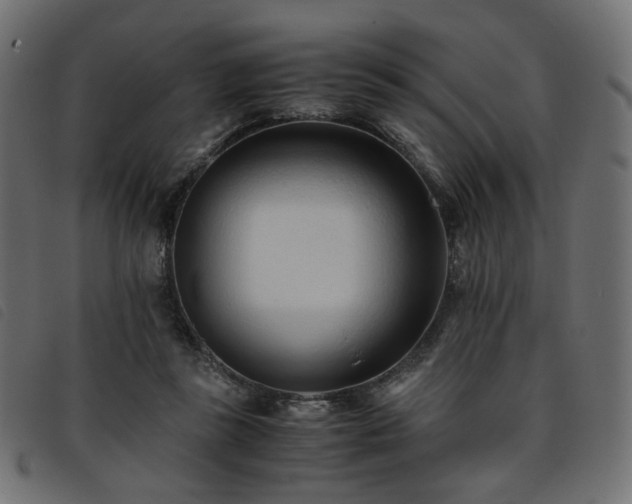 X0000093770355200710161246