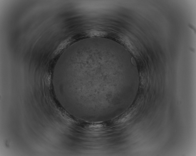 X0000093770357200710161246