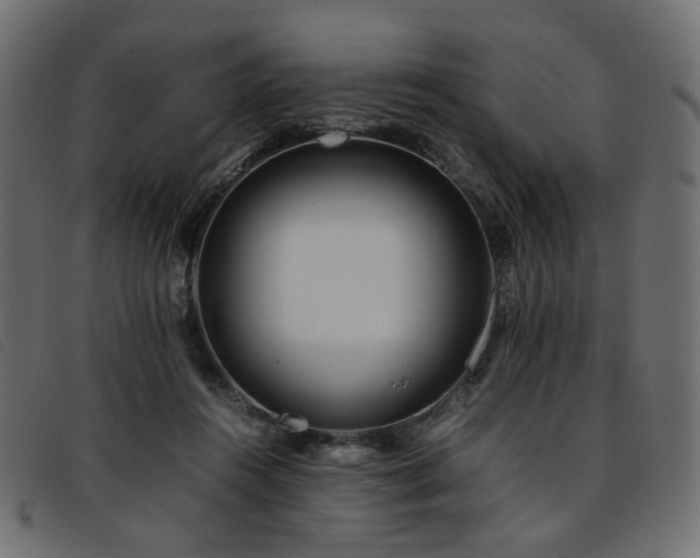 X0000093770360200710161246