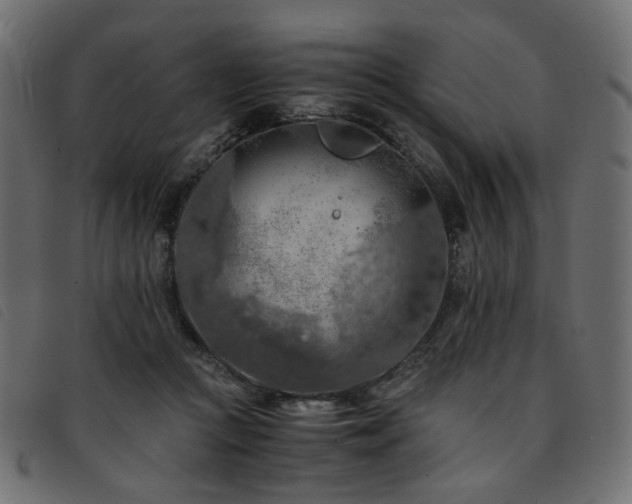 X0000093770361200710161246