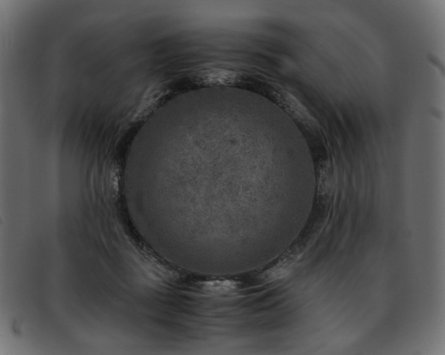 X0000093770363200710161246