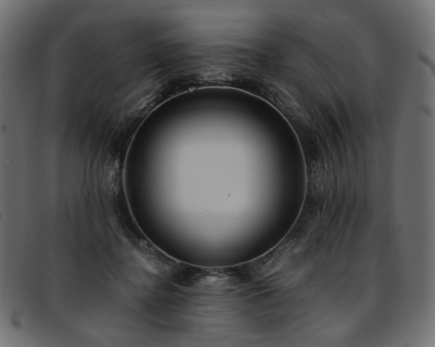 X0000093770364200710161246