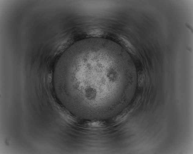 X0000093770365200710161246