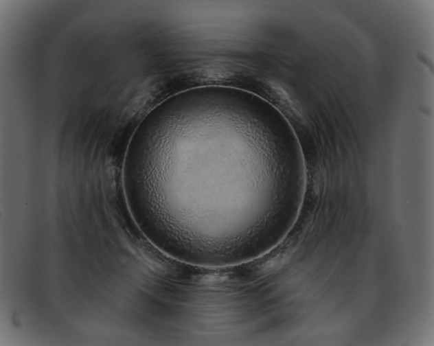 X0000093770366200710161246